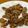 ccdagu 的 酥炸蚵仔酥 cooksnap