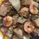 Cooksnap dari Ira Aryani untuk resep Tahu Udang Saus Mentega