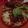Cooksnap de Ana Lopes quando cozinhou Fake Pizza 😁.