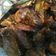 Cooksnap dari Nesty untuk resep Ayam Kecap Pedas