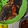 Cooksnap dari Vira Triana untuk resep Ikan Mujair bakar teflon sambal kecap