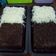 Cooksnap dari Henny Nda Kafaza untuk resep Brownies kukus Amanda