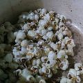 Cooksnap dari Soegianto untuk resep Popcorn simple