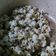 Cooksnap dari Soegianto untuk resep Popcorn simple