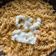 Anaya Garg का कुकस्नैप जब उन्होंने पास्ता (Pasta recipe in hindi) बनाया था।