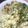 Cooksnap dari devi ariefiani untuk resep Beef fusilli baked ala PH