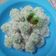 Cooksnap dari Tinaaaa untuk resep Klepon Martapura