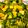 El cooksnap de Javier Botello cuando hizo Ensalada de mango y aguacate.