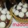 صورة من طبخات بنت الشام منى Madona ، شاركها بعد تجربة وصفة حلو قهوة