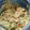 Tiffany MzSassha Robinson's cooksnap of when they made Guacamole.