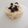 El cooksnap de Pelayo Último cuando hizo Risotto facil de setas.