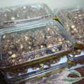 Cooksnap dari yarah untuk resep Kue beng beng kacang cokelat