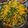 Cooksnap dari Yecio09i untuk resep Urap Sayur Ala Mama