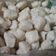 Cooksnap dari Mama Khayla untuk resep Bakso ayam homemade, no MSG