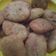 Cooksnap dari Int846 untuk resep Combro crispy