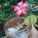 Cooksnap dari Bilqis Aisya Nuri untuk resep Tamarind Iced Tea