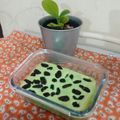 Cooksnap dari Feriyal untuk resep CHIFFON CAKE PUTIH TELUR Pandan