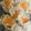 Cooksnap dari wulan untuk resep Dimsum Ayam Wortel