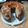 El cooksnap de Rocio Solanilla cuando hizo Bizcocho de leche condensada y chocolate sin gluten.