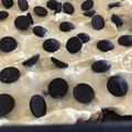 PlainAddieJane's cooksnap of when they made Peanut Butter Chip Cheesecake Brownies.