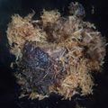 Cooksnap dari Ina Agustina untuk resep Empal daging no ribet