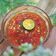Cooksnap dari Rini.Wijaya26 untuk resep Sambal dengkek nipis khas betawi