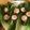 Paul's cooksnap of when they made Vickys Prawn & Asparagus Salad, GF DF EF SF NF.