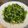 Angel Liu 的 莧菜吻仔魚 cooksnap