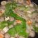 Cooksnap dari Cicilia Ari Susanti untuk resep Steamboat/Suki Kuah Bening