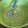 El cooksnap de Nicole Giano cuando hizo Crema dulce de aguacate o palta.
