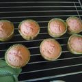 Sally 's cooksnap of when they made Vanilla cake.