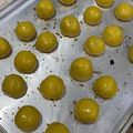 Cooksnap dari Damayanti Gurning untuk resep Nastar klasik