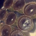 صورة من Soma Ya، شاركها بعد تجربة وصفة سوفليه الاوريو مع النوتيلا بالمايكرويف