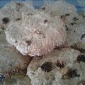 El cooksnap de Valentina cuando hizo Galletas de avena,pasas y coco: "corazones".