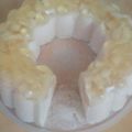 El cooksnap de Yael Vazquéz cuando hizo Gelatina de piña en almíbar.