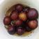  Zeenat Khan का कुकस्नैप जब उन्होंने गुलाब जामुन (Gulab jamun recipe in Hindi) बनाया था।