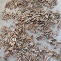 El cooksnap de laporti1980 cuando hizo "Pipas" caseras (semillas de girasol saladas).