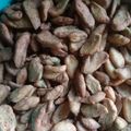 Cooksnap dari Bunda Nafisa untuk resep Biji Ketapang GE-ER (Gurih Enak Empuk Renyah) #PekanInspirasi
