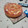 El cooksnap de Valeen Bolsoo cuando hizo Torta de Manzana Inversa.
