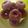 Fady SBT's cooksnap of when they made Yeast doughnut.