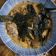 Angeltina 的 雞肉親子丼 cooksnap