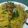 Cooksnap dari Hyuga Deejay Vin untuk resep Tumis Mie Kuning