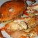 Cooksnap dari Vhanilla untuk resep Kepiting saus asam pedas manis