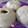 Cooksnap dari Mey2_Linkz untuk resep Bak Pau