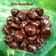 Cooksnap dari Hayati MS untuk resep Boba Homemade