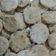 El cooksnap de Mary cuando hizo Galletas para perros.