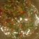 El cooksnap de Jorge Gestal cuando hizo Picante Criollo Venezolano.
