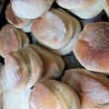 El cooksnap de vivi-valen2011 cuando hizo Pan criollo o galleta de campo👩🏼‍🍳 🍞.