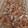 El cooksnap de Yolan08 cuando hizo Boquerones al horno.