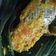 Cooksnap dari dianpande untuk resep Pepes Mujaer Sedap
